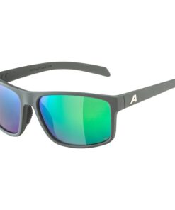 Alpina NACAN I P