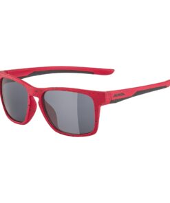 Alpina FLEXXY COOL KIDS I